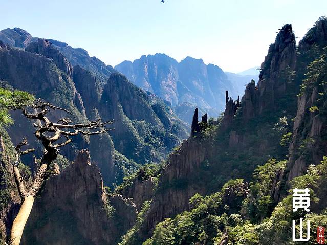 徽州的春天全集,黄山的春天风景