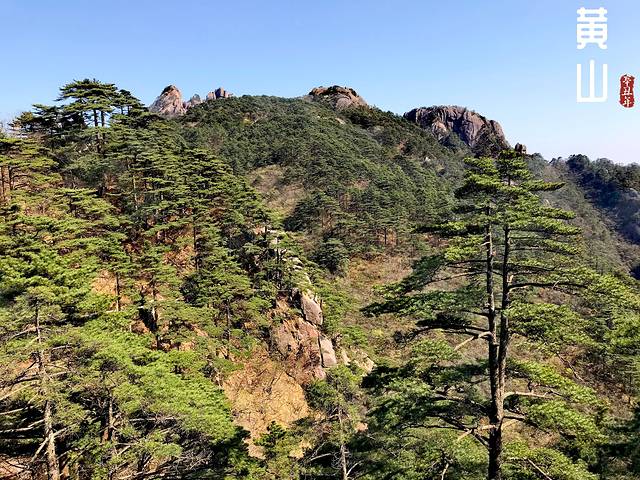 徽州的春天全集,黄山的春天风景