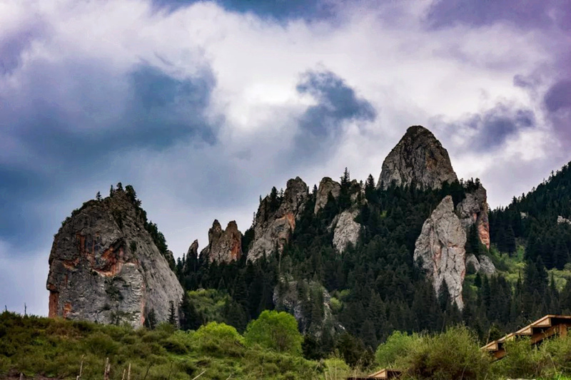 读景记丨213国道甘南段草原天路世外天堂