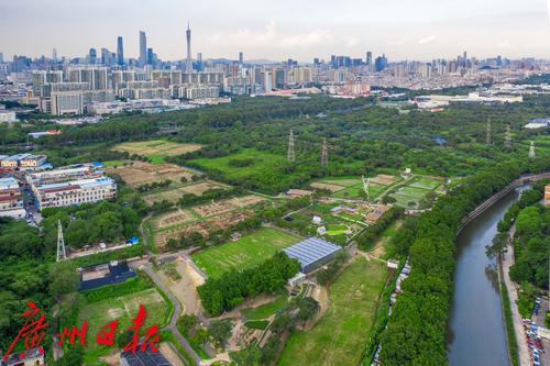 广州海珠区农田园,广州大都市农业园