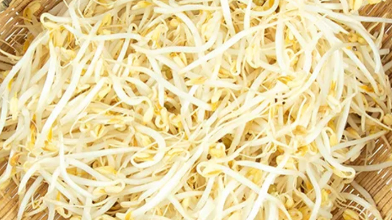 造成细菌性食物中毒的原因不包括,细菌性食物中毒发病率最高的