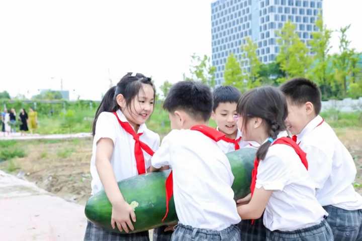 杭州钱塘区在建的九年一贯制学校,让孩子能进入心仪或合适的学校