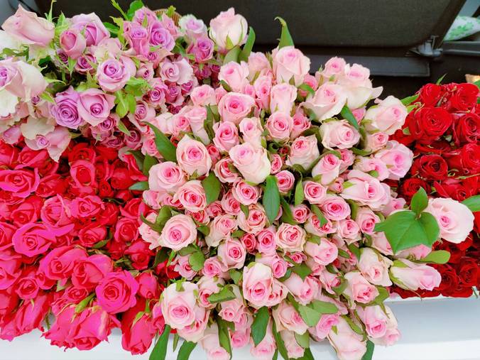 百年老校朗诵主题,百年老校校庆诗句