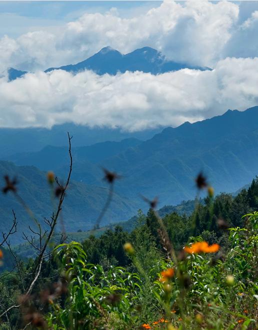 平武有“六度”，专治各种不舒服