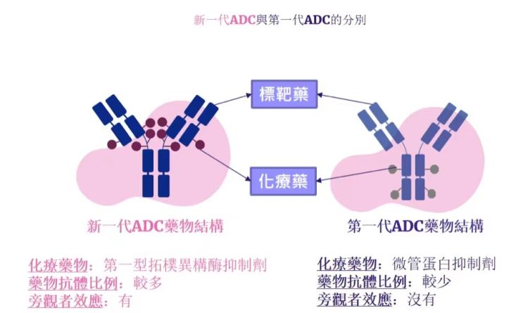 国际医学界新研究：新一代“生物导弹”成抗癌新方向