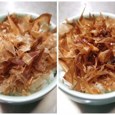 猫饭食堂小说全集,深夜食堂的猫饭