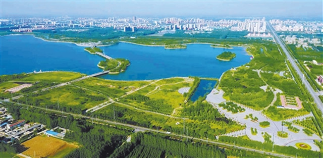 生态湿地百鸟来栖视频,护大河之洲引百鸟来栖