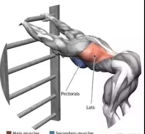 上胸为什么是最难练的原因,上胸怎么都练不大