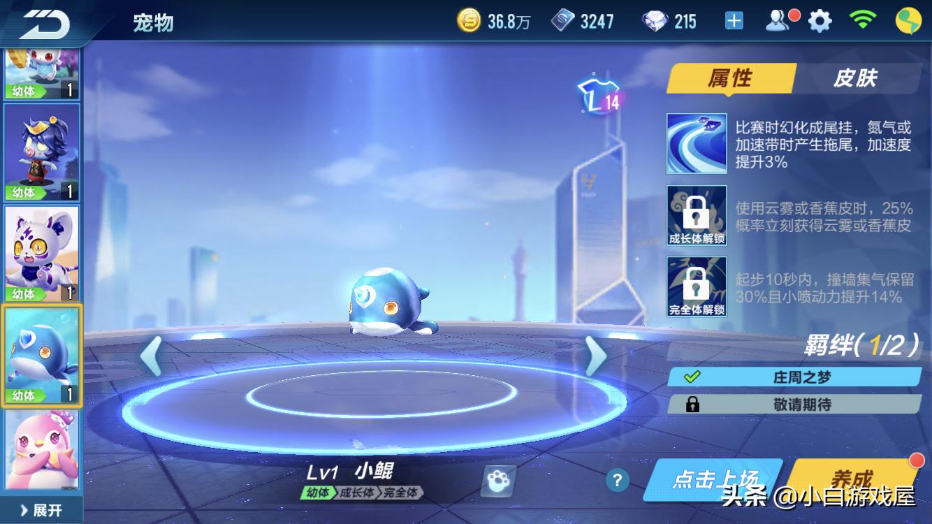 qq飞车手游最强点券道具宠物排名,qq飞车手游道具宠物最新排行7月