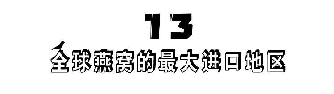 燕窝的故事大全视频,燕窝相关的故事