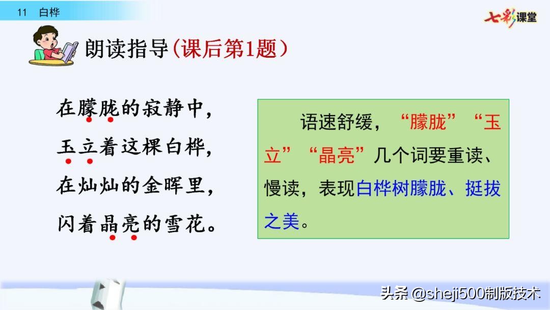 语文教科书四年级下册11课白桦,四年级语文书下册白桦讲解及预习