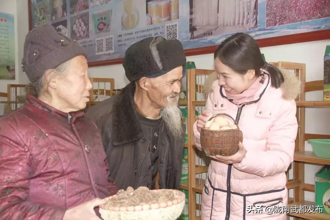 陇南市推动高质量发展的举措,陇南市发展战略