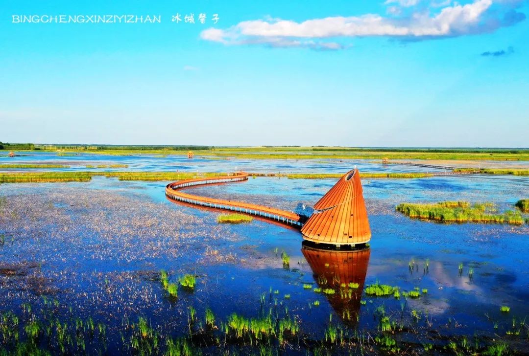 再返富锦，为着那份飘着稻花香的“湿”意约定