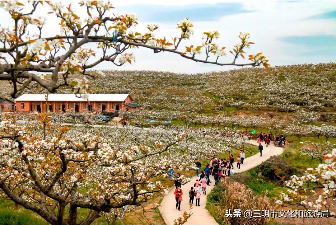 嗨！重新认识一下，我叫建宁！进来为我投票吧！