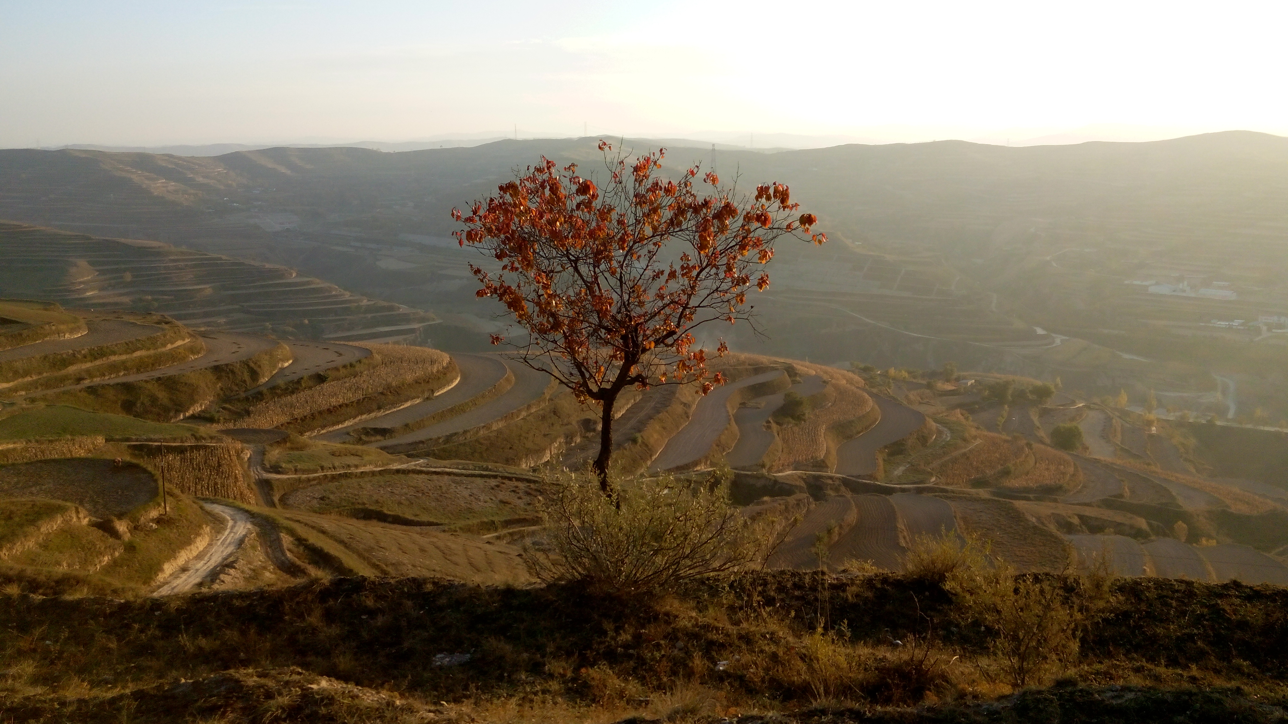 如果你不了解陕北和陕北人，读读此文吧
