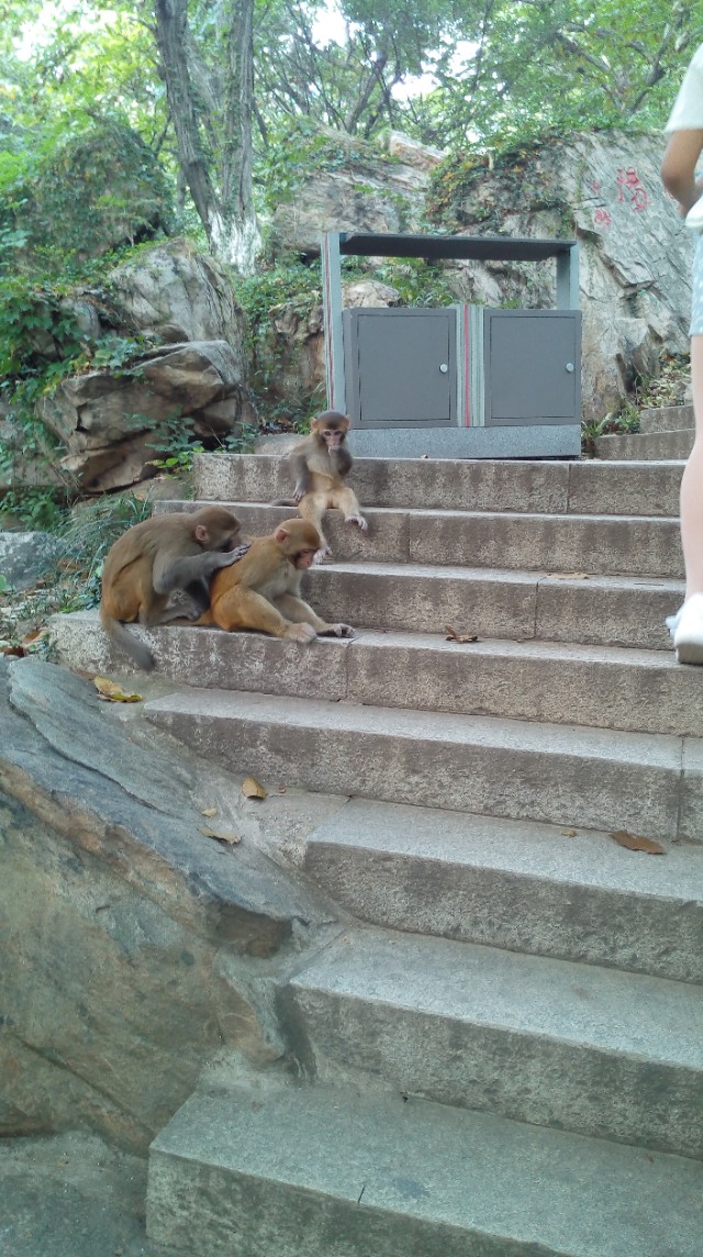 花果山自驾二日游攻略,花果山一日游攻略