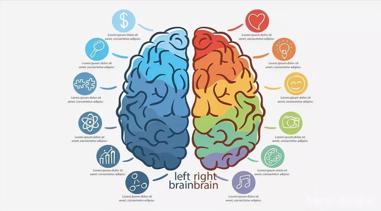鐮旂┒闃呰閿荤偧澶ц剳,鐮旂┒琛ㄦ槑閿荤偧瀵逛汉鑴戞湁绉瀬浣滅敤