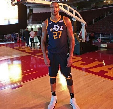 联盟戈贝尔防守,联盟防守詹姆斯第一人