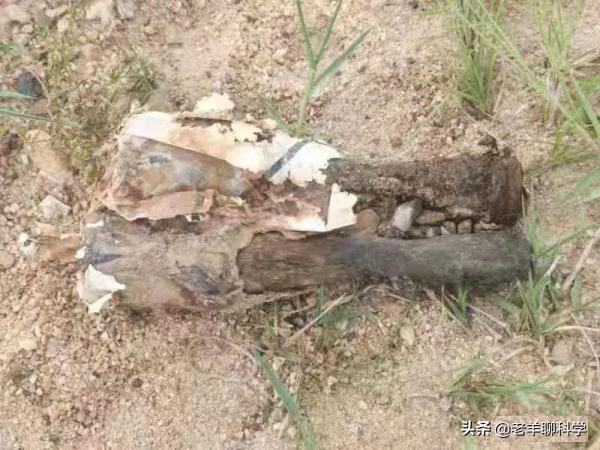 海南一男子钓鱼,海口男子钓鱼钓出两枚手榴弹