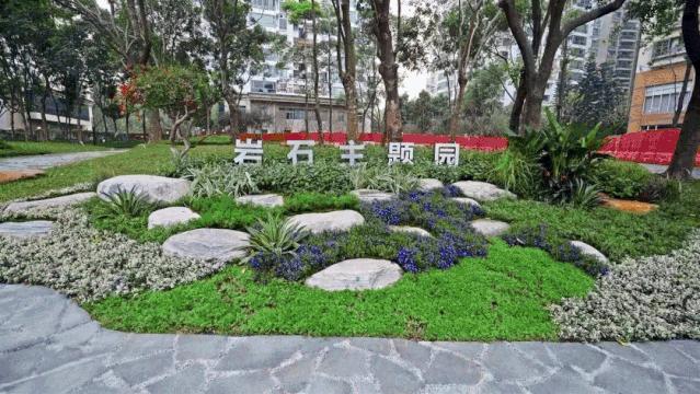 深圳遛娃必去景点免费过年,深圳适合儿童游玩的公园