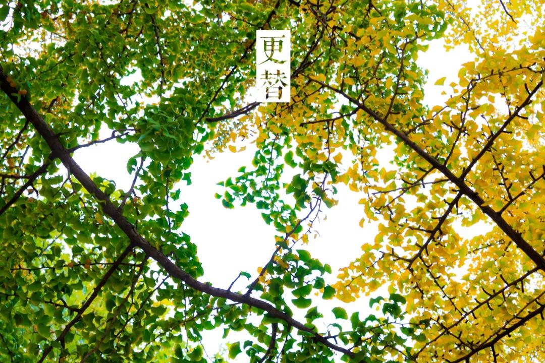 三亚和厦门哪个更值得去玩,三亚和厦门哪个更值得去游玩