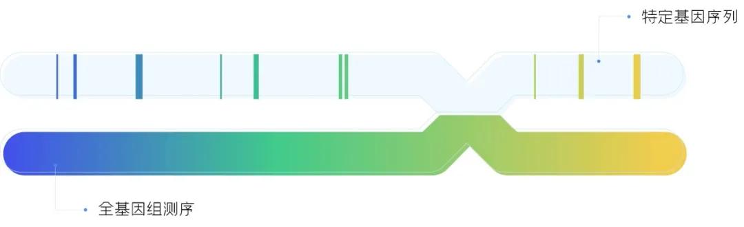 多囊卵巢综合征有遗传基因吗,遗传性卵巢多囊综合症