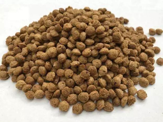 怎么预防猫咪黑下巴,三分钟搞定猫咪黑下巴问题