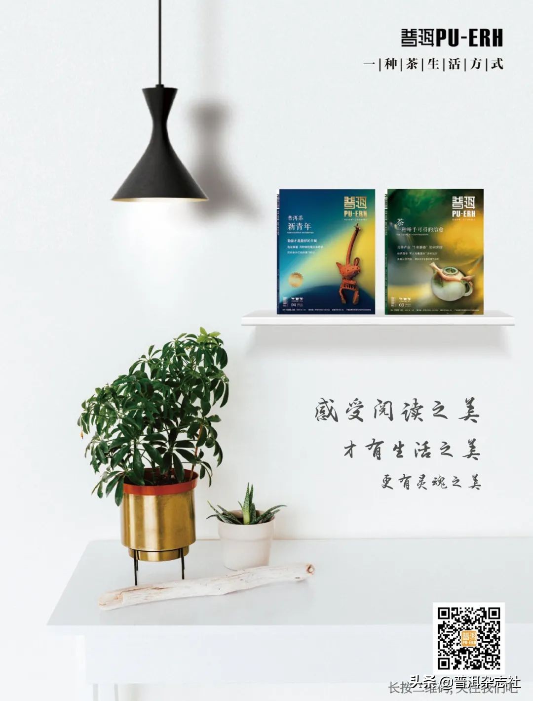 古树茶贵但贵的不一定是古树,古树茶好喝吗值得买吗知乎