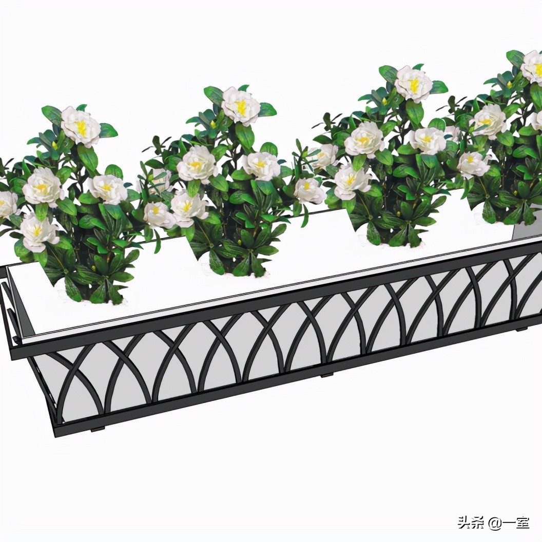 网红庭院植物搭配,网红绿植搭配技巧