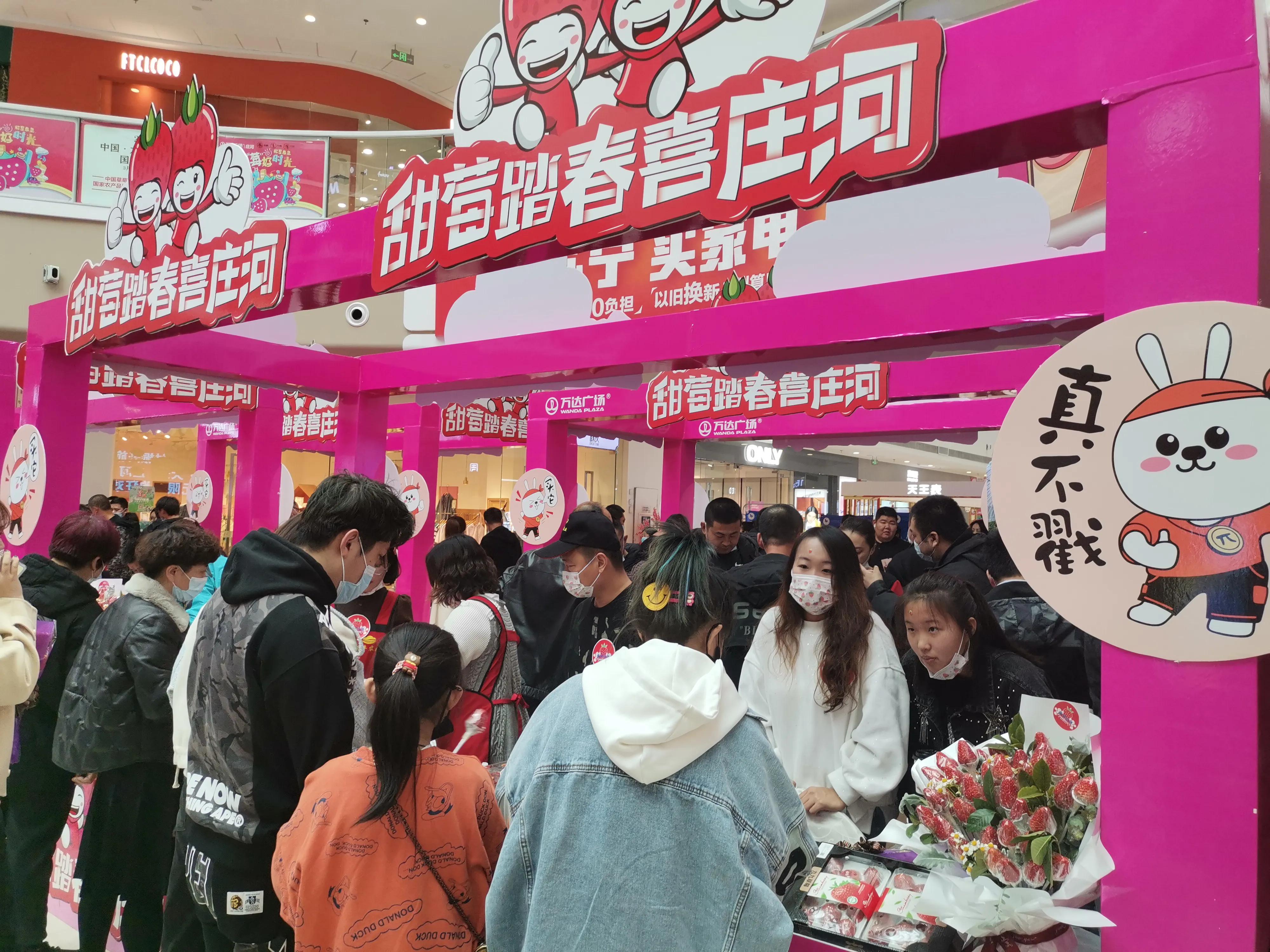 2022大连庄河草莓展览会,大连市庄河国际草莓欢乐节