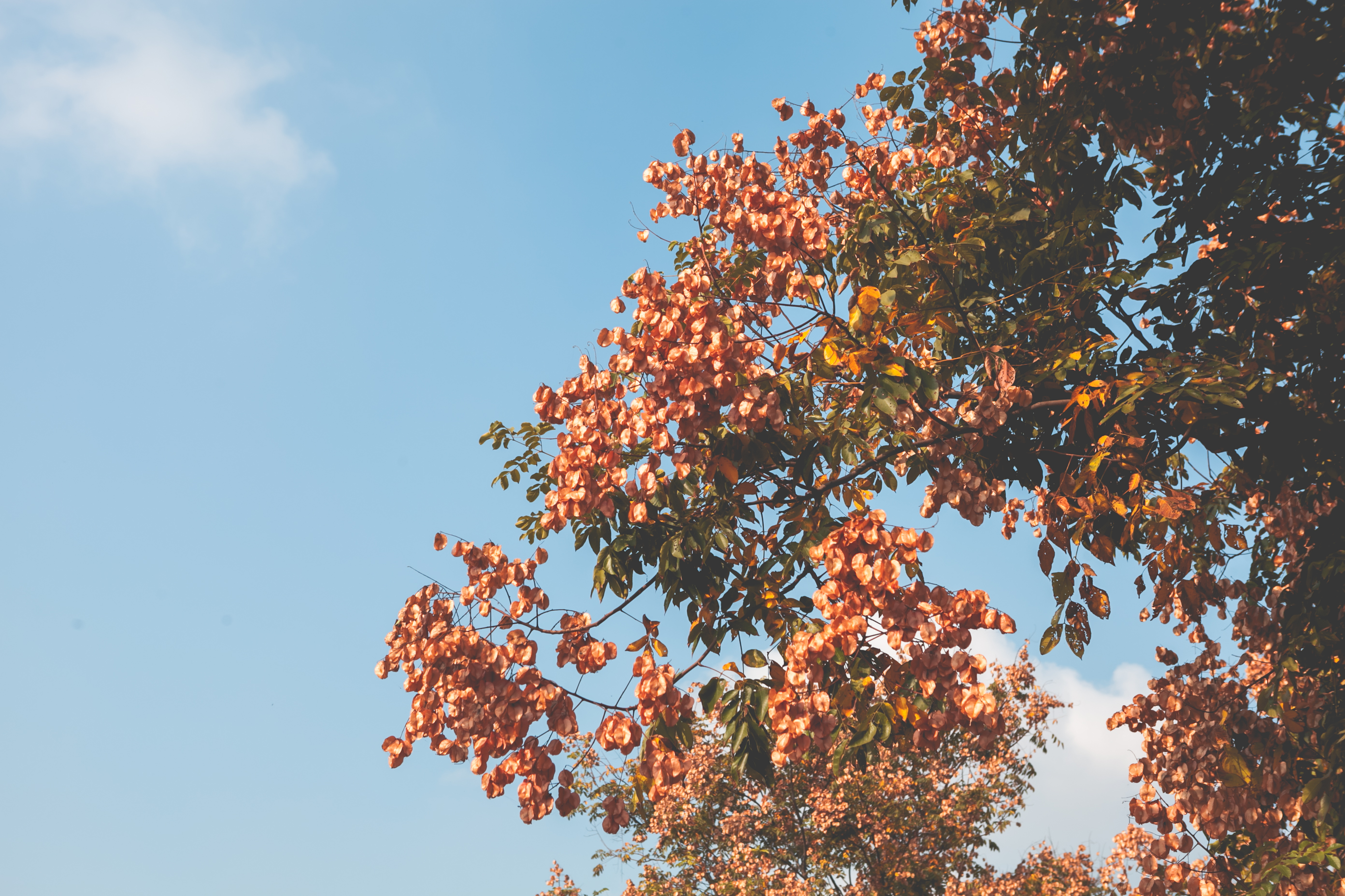 秋天的无锡美的醉人，去无锡旅行，这些好地方不要错过了