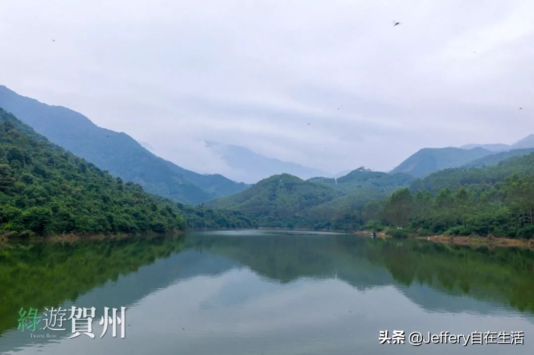 拍贺州｜莲塘镇大山深处的“一号基地”