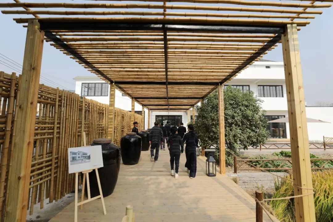 溧阳庆丰村怎么突然火了起来，答案或许就在这里