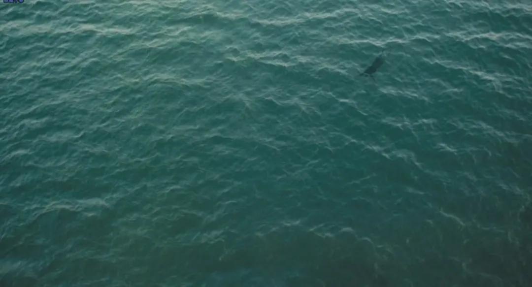 拒绝学生会主席求爱后，她被P裸照、朋友圈疯传180天