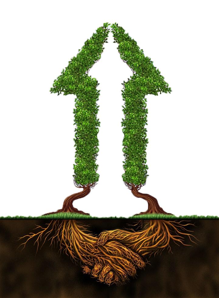 全自动馄饨机上线,一次成型馄饨机