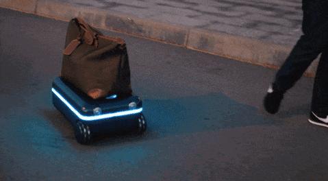 网红刘雯拍照,刘雯自拍照片