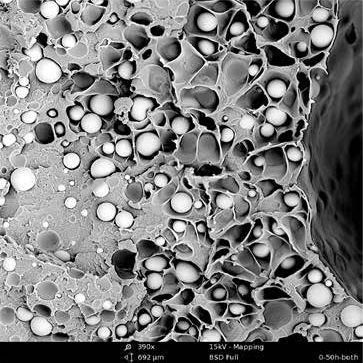 sem扫描电镜原理及应用,sem扫描电镜分析的作用