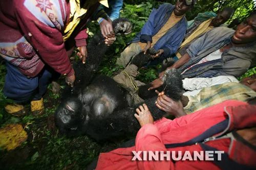 世界特大灾难鼠疫全记录,世界大瘟疫第一集