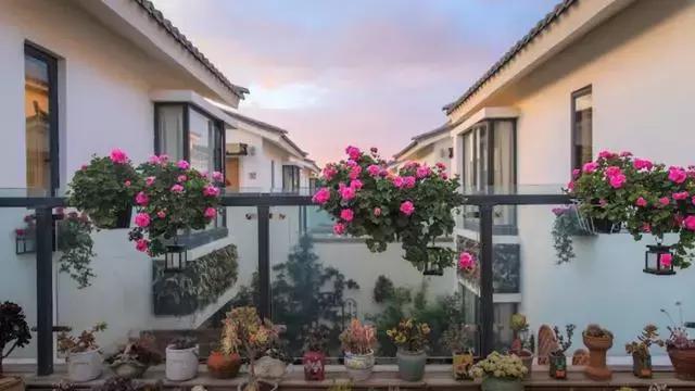 大理最值得去的打卡地方 (大理古镇值得打卡景点)