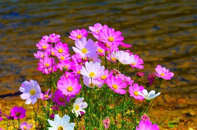 睡觉是最好的解乏方式吗,让自己睡觉时不胡思乱想的方法