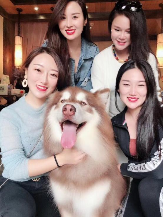 letsgo带你去兜风,letsgo旅行视频