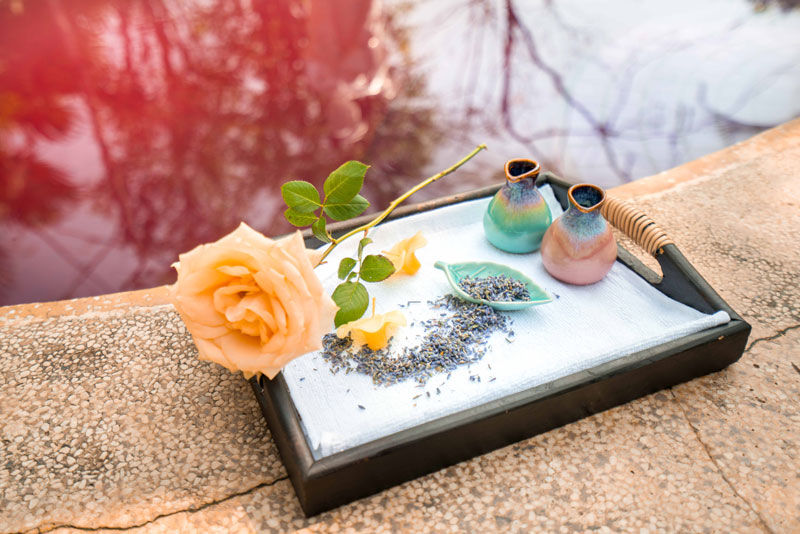 厦门天沐温泉年票,厦门天沐温泉恐龙侏罗纪