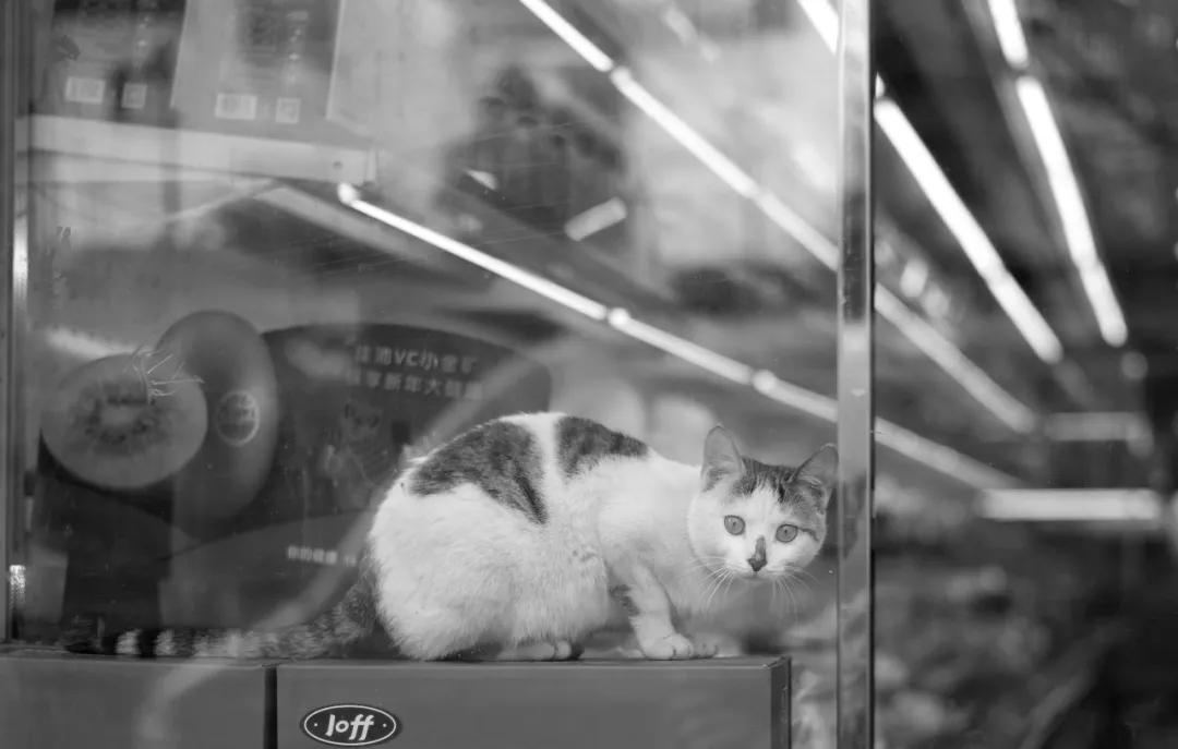 南京的老城南是哪里,南京老城南