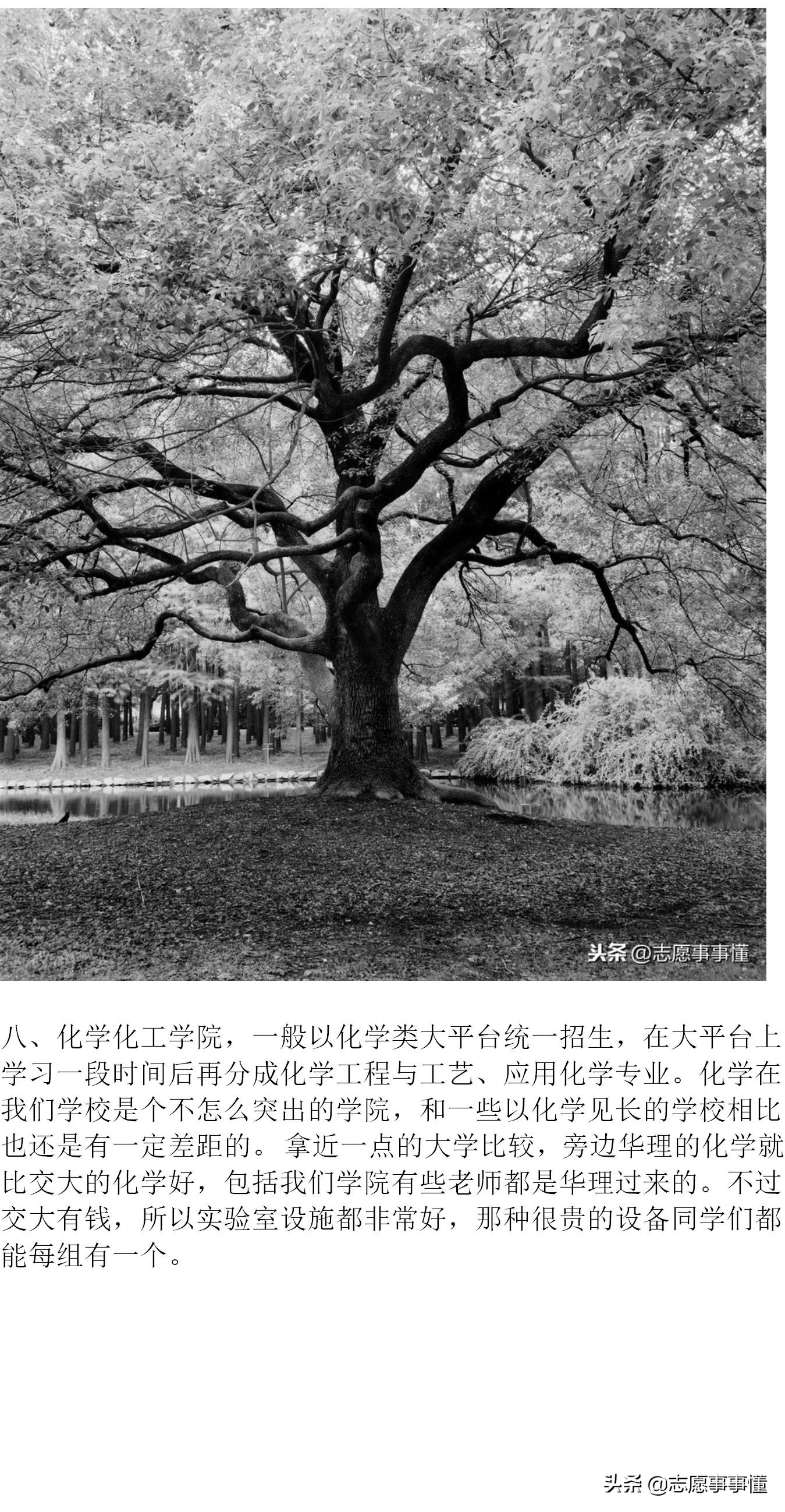 大学漫漫谈之上海交通大学