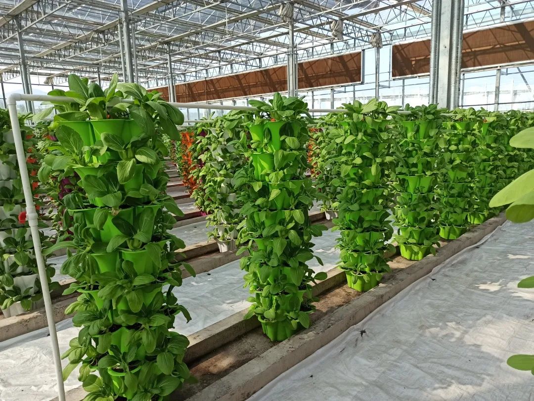 深度|京承线上“小慢车”，跑出老乡幸福路