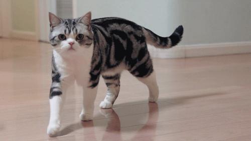 他35岁裸辞，搭顺风船环游世界，网友：还可以这么玩？