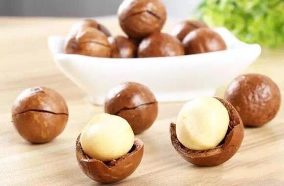 花生和核桃生长过程,核桃样子的坚果