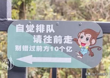 飞越云台山门票,飞跃白云山景区