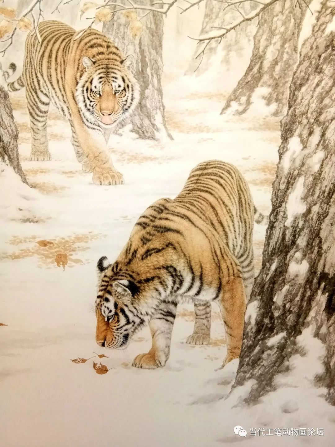 免费学工笔画,最全的画虎技法收集