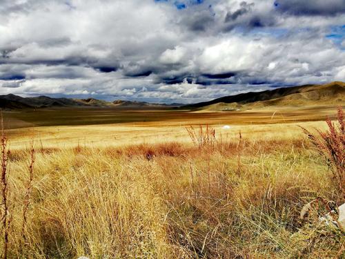 七月甘南自驾游注意事项,西安自驾甘南旅游攻略景点
